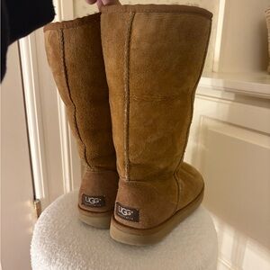 UGG Tall Boots in Chestnut